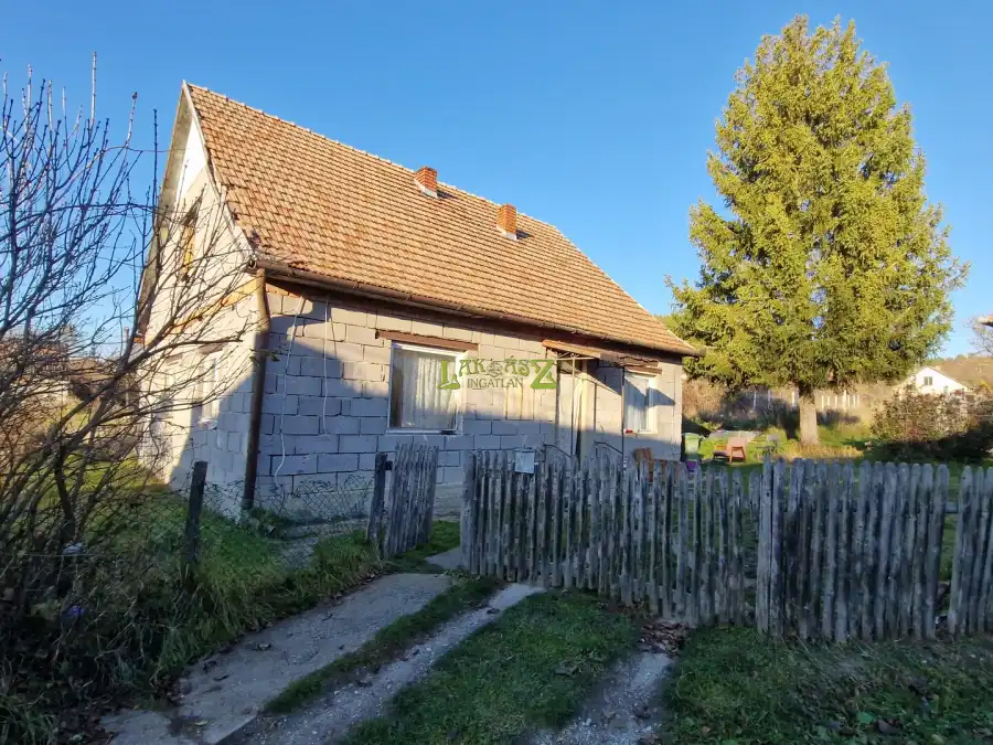 eladó családi ház, Balaton