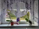 Heves megye - Bélapátfalva