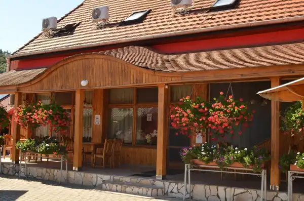 Eladó vendéglátás, Sirok 9 szoba 520 m² 77 M Ft